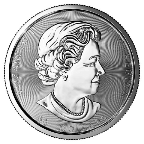 10 oz Liść Klonowy srebrna moneta bulionowa – mieszane roczniki, kapsel ochronny