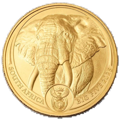 1 oz Wielka Piątka Afryki Słoń Złota Moneta | 2025