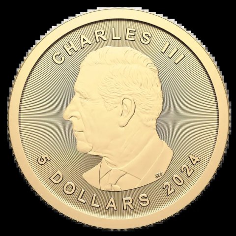 1/10 Uncja Liść Klonowy Złota Moneta | Uszkodzona