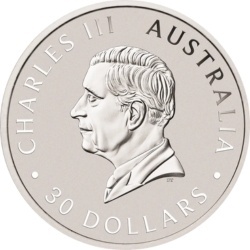 1 kg Kookaburra 2026 silver coin Perth Mint in protective capsule