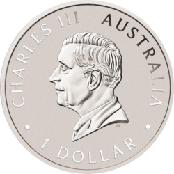 1 Ounce of Kookaburra Silver Coin | 2026