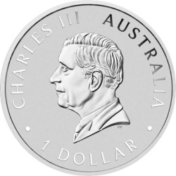 1 oz Koala Silver Coin | 2026