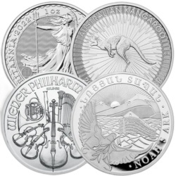 1 oz Silver Bullion Coin | random years