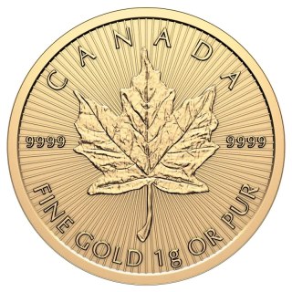 25 x 1 g Maple Leaf MapleGram Gold Coins | 2026